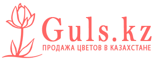 Шахтинск